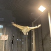 L.VERUS Tokyo