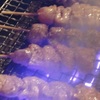 Izakaya Harahama - メイン写真: