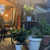 鉄板焼 おっとう 中崎町 - メイン写真: