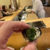 Sushi hamada - 料理写真: