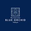 BLUE ORCHID TOKYO - メイン写真: