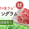 Yakiniku Raiku - メイン写真: