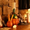 BELLA NOTTE Okubo Ten - メイン写真: