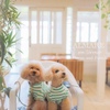 ALMARE sea terrace - メイン写真: