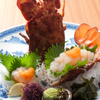 魚将　さかなちゃん - メイン写真:
