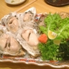 酒菜の肴 遊食家 - メイン写真: