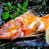 魚彩居酒屋 ののの - メイン写真: