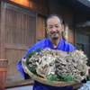 飛騨季節料理 肴 - メイン写真: