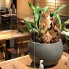 割烹かせの - メイン写真: