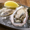 オイスタースタンド - 料理写真: