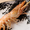 Robata to Oden Koronagirai Hon Hachinohe Ten - メイン写真: