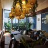Butterfly Pea - メイン写真: