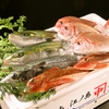 湘南鮮魚と炭焼牛たん かっこ - メイン写真: