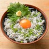 鰓呼吸 - メイン写真: