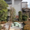 道草庭 - メイン写真: