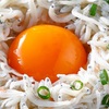 魚屋に毛の生えたようなお店 京都つりや - メイン写真: