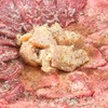 東陽町 大衆焼肉 暴飲暴食 - メイン写真: