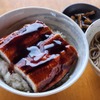 そば処 よこ亭 - 料理写真:うな丼（ミニ蕎麦付）1400円