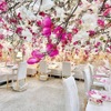 HAUTE COUTURE CAFE OMOTESANDO - メイン写真: