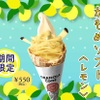 かもめテラス 三陸菓匠さいとう - メイン写真: