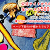 大人の食堂 シロボシ - メイン写真: