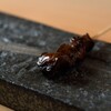 名古屋コーチン 堀江 - メイン写真: