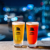 CRAFT BEER HOUSE molto!! Umeda Ten