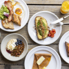 GARDEN HOUSE CRAFTS - メイン写真: