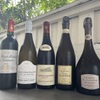 BISTRO INOCCHI - メイン写真: