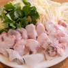 鷹 - メイン写真:
