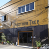 CRAFT BEER BASE MOTHER TREE - メイン写真: