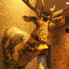 Focacceria la Brianza - メイン写真: