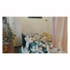 Bistro pop a coco - メイン写真: