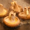 くしのすけ - メイン写真: