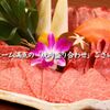 中野坂上焼肉 ブルズ亭 - メイン写真: