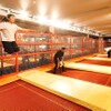 メガインディアンズ ステーキハウス - メイン写真: