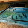 魚肉菜 座頭 道安 - メイン写真: