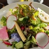 YOKA wine Otsuka - メイン写真:8品目のサラダ