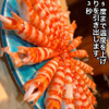 鮨和さび - メイン写真: