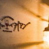 かもめのイタリアン - メイン写真: