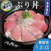 海食 Uosada
