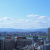はまぐり庵 - メイン写真: