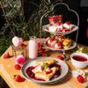 OVAL CAFE - 料理写真: