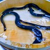 うなぎ料亭 山重 - メイン写真: