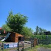 JAPANESE GELATERIA＆CAFE ASANOHA - メイン写真: