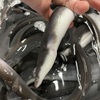 城崎うなぎ処 うな京 - メイン写真: