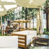 Farm to Table TERRA - メイン写真: