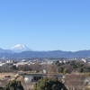 The Dragonfly Bar - メイン写真:
