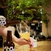 サワーとお料理 れもん - メイン写真: