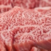 焼肉ホルモン屋だん - メイン写真: